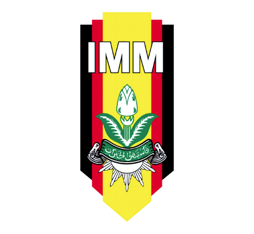Logo IMM